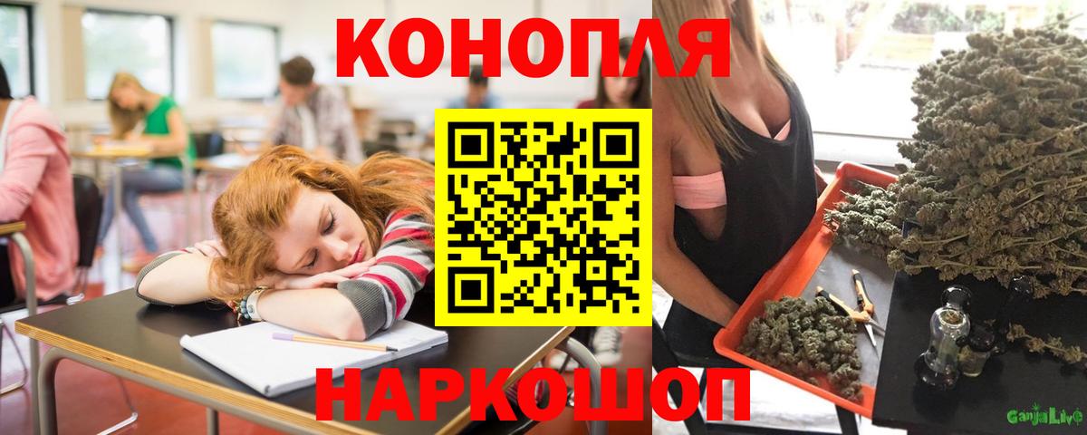 Бошки Шишки индика  Марихуана план  Вход с VPN  Бошки Шишки тримм  Димитровград  Бошки марихуана тримм 